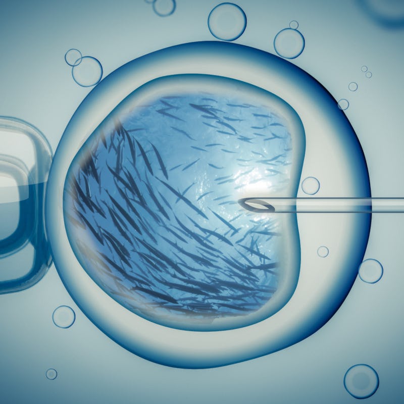 La vie rêvée des embryons - Podcast’Coussin