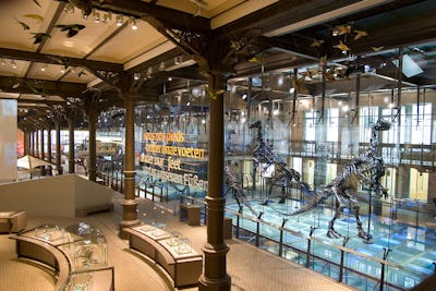 Muséum des Sciences naturelles de Bruxelles