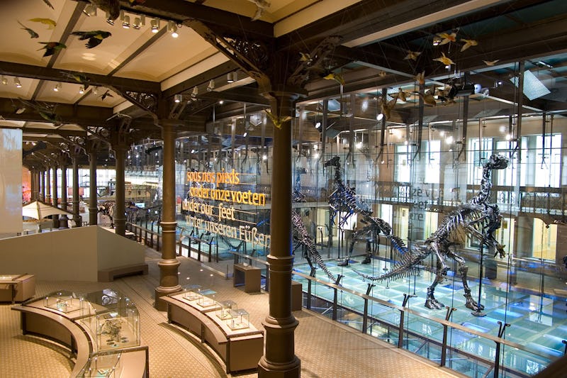 Muséum des Sciences naturelles de Bruxelles