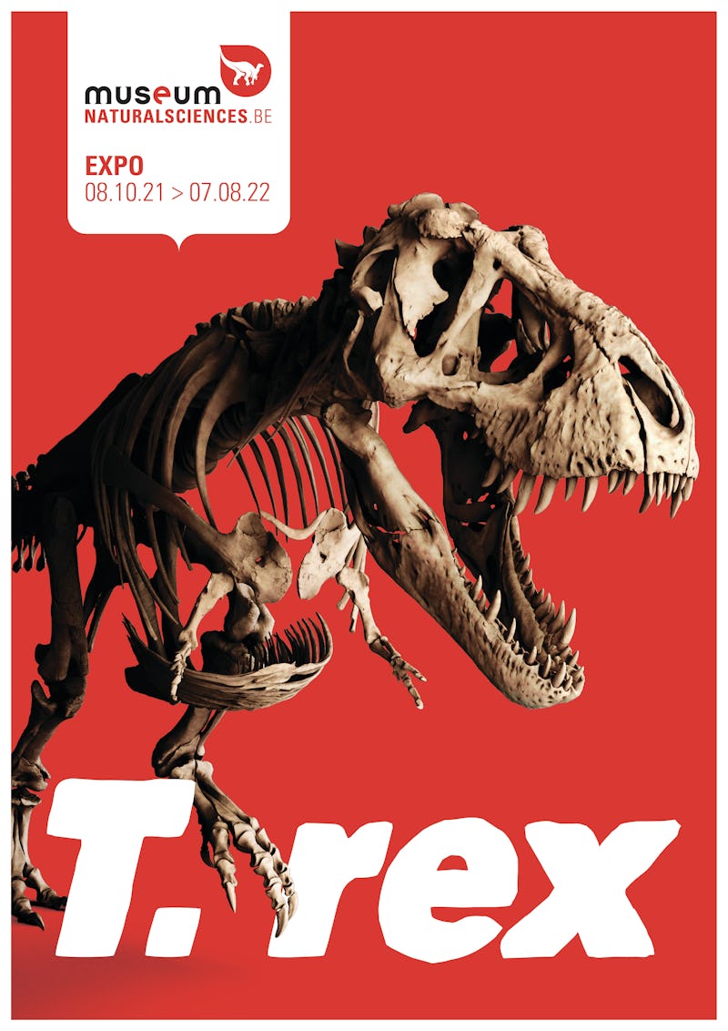 T. rex Muséum des Sciences naturelles