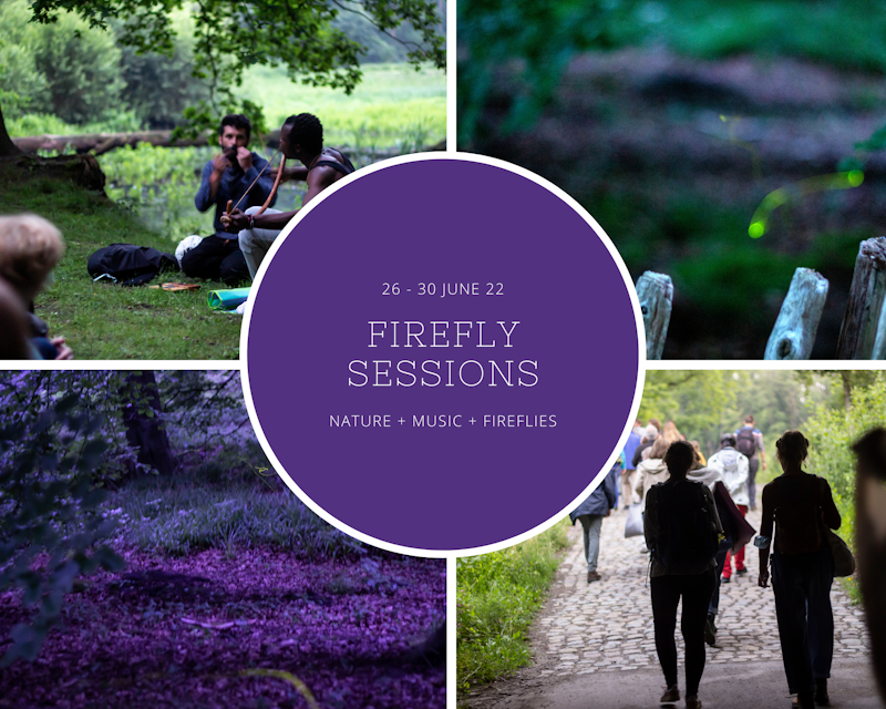 The Firefly Sessions  Muziekpublique