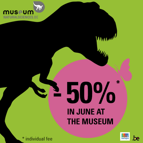 Le Muséum fête l’été :  -50 % en juin sur les tickets des visiteurs individuels