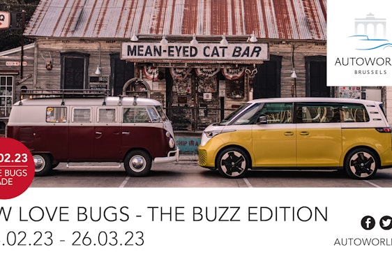 VW Love Bugs - The Buzz Edition